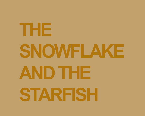 The Snowflake and the Starfish